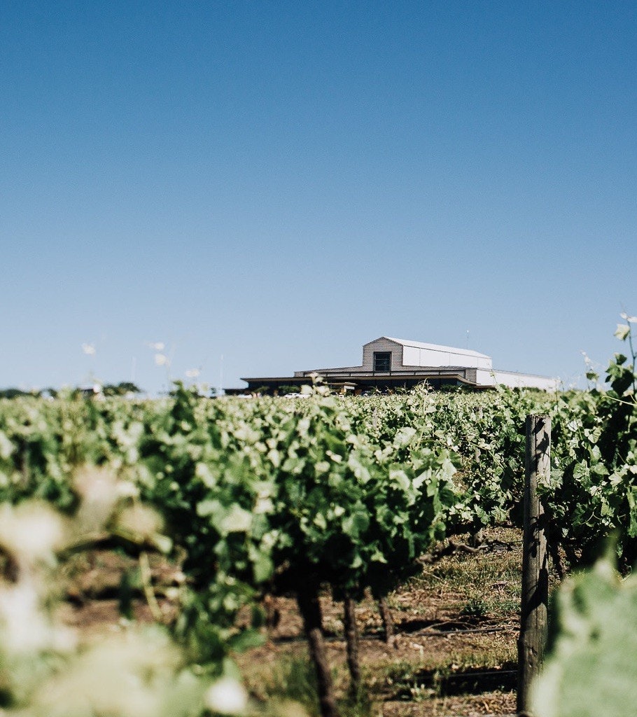 Nestled in vineyards with a view of Mt Duneed Estate in the background.